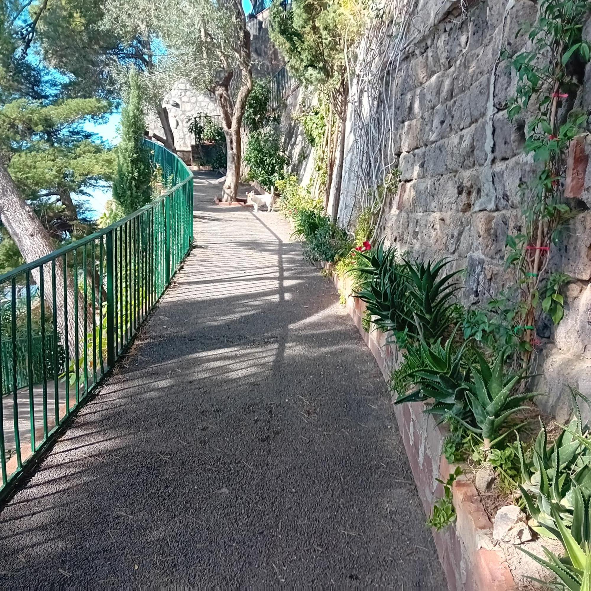 Villa La Galetta Vico Equense Ngoại thất bức ảnh